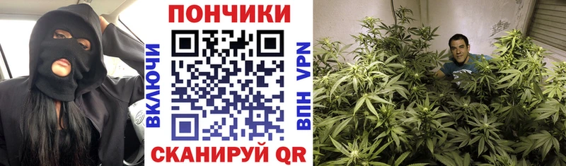 Названия наркотиков Свирск Псилоцибиновые грибы  ГАШИШ  Конопля  COCAIN  A PVP  Амфетамин 