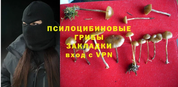 ПСИЛОЦИБИНОВЫЕ ГРИБЫ Армянск